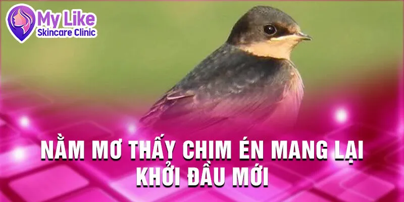 Nằm Mơ Thấy Chim: Những Dấu Hiệu Từ Tiềm Thức 2 Nằm mơ thấy chim én mang lại khởi đầu mới