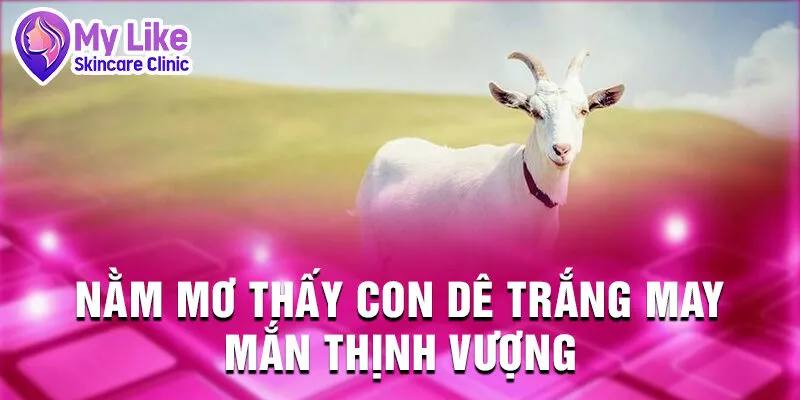 Nằm Mơ Thấy Con Dê: Giải Mã và Dự Đoán Số May Mắn 2 Nằm mơ thấy con dê trắng may mắn thịnh vượng