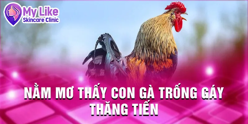Nằm Mơ Thấy Con Gà: Bí Mật Từ Sâu Thẳm Tâm Hồn 2 Nằm mơ thấy con gà trống gáy thăng tiến