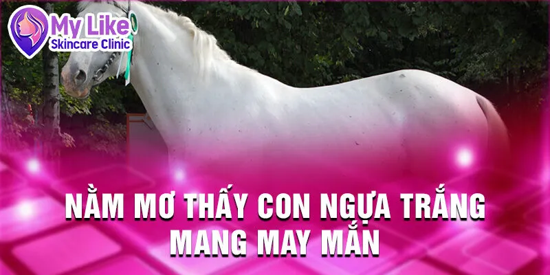 Nằm Mơ Thấy Con Ngựa: Bí Ẩn Và Điềm Báo Tương Lai 2 Nằm mơ thấy con ngựa trắng mang may mắn