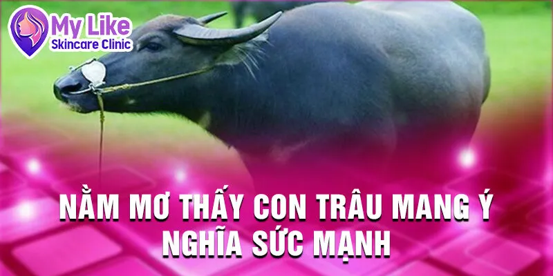 Nằm Mơ Thấy Con Trâu: Giải Mã Tương Lai Ẩn Giấu 2 Nằm mơ thấy con trâu mang ý nghĩa sức mạnh