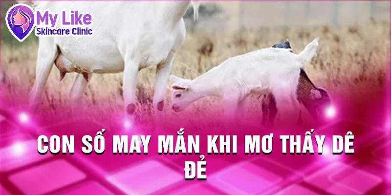 Nằm Mơ Thấy Con Dê: Giải Mã và Dự Đoán Số May Mắn 3 Con số may mắn khi mơ thấy dê đẻ