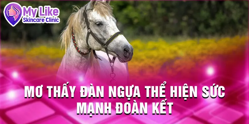 Nằm Mơ Thấy Con Ngựa: Bí Ẩn Và Điềm Báo Tương Lai 3 Mơ thấy đàn ngựa thể hiện sức mạnh đoàn kết