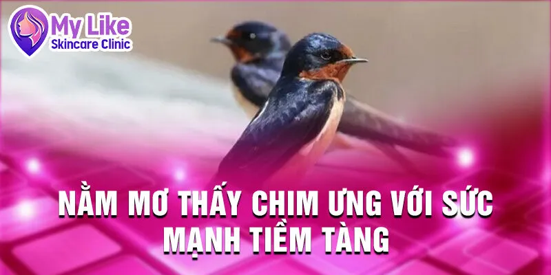 Nằm Mơ Thấy Chim: Những Dấu Hiệu Từ Tiềm Thức 3 Nằm mơ thấy chim ưng với sức mạnh tiềm tàng