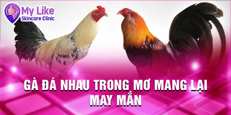Nằm Mơ Thấy Con Gà: Bí Mật Từ Sâu Thẳm Tâm Hồn 4 Gà đá nhau trong mơ mang lại may mắn