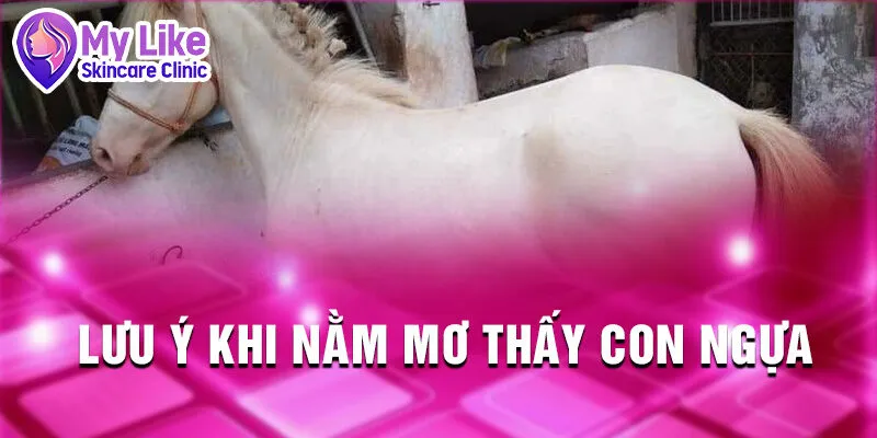 Nằm Mơ Thấy Con Ngựa: Bí Ẩn Và Điềm Báo Tương Lai 4 Lưu ý khi nằm mơ thấy con ngựa