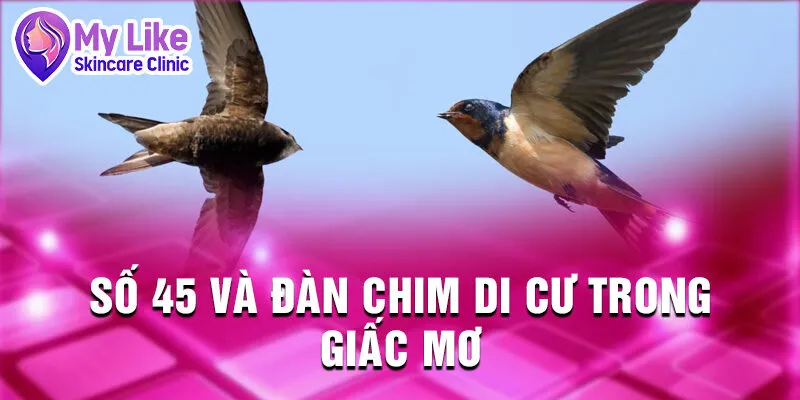Nằm Mơ Thấy Chim: Những Dấu Hiệu Từ Tiềm Thức 4 Số 45 và đàn chim di cư trong giấc mơ